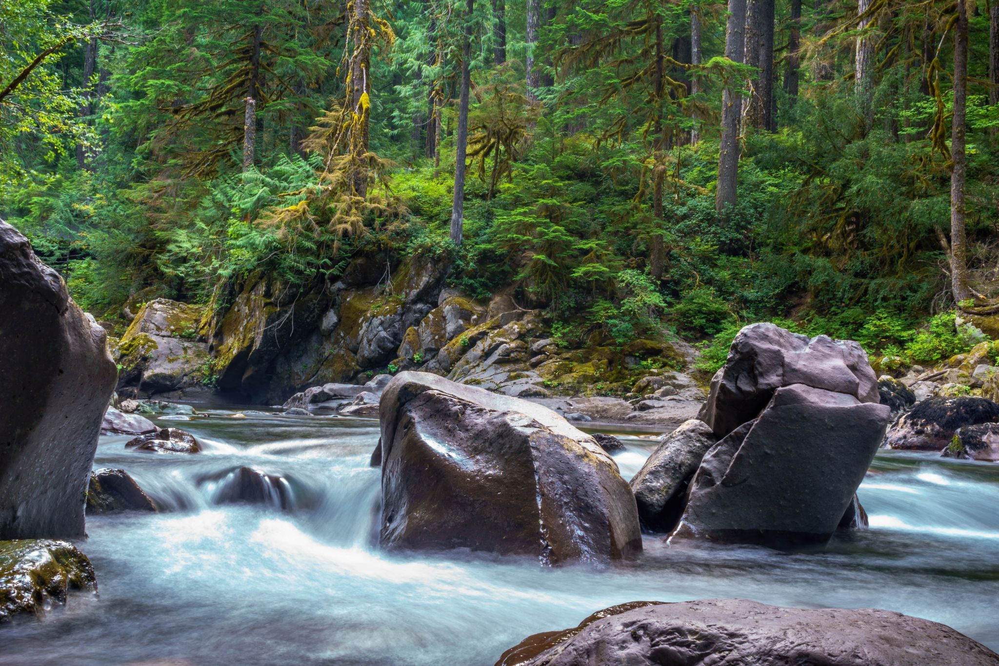 Silver Falls Loop, USA