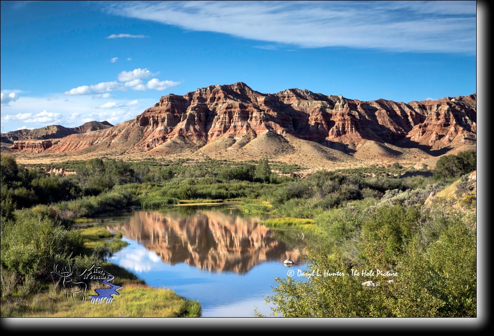 Spring Creek, Dubois Wyoming, USA