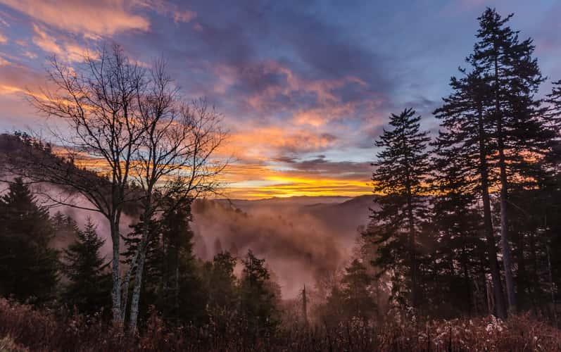 Sunrise at Newfound Gap
