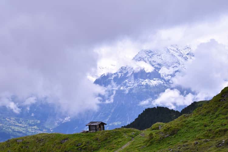 The Swiss Alps