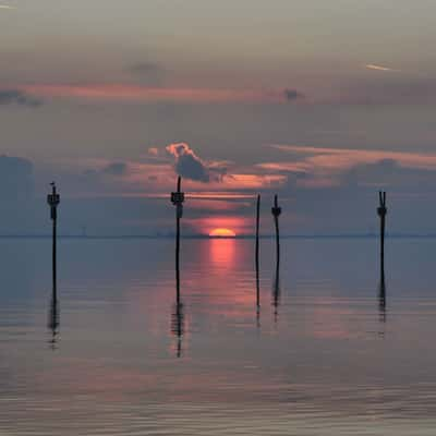 tholen oesterdam, Netherlands