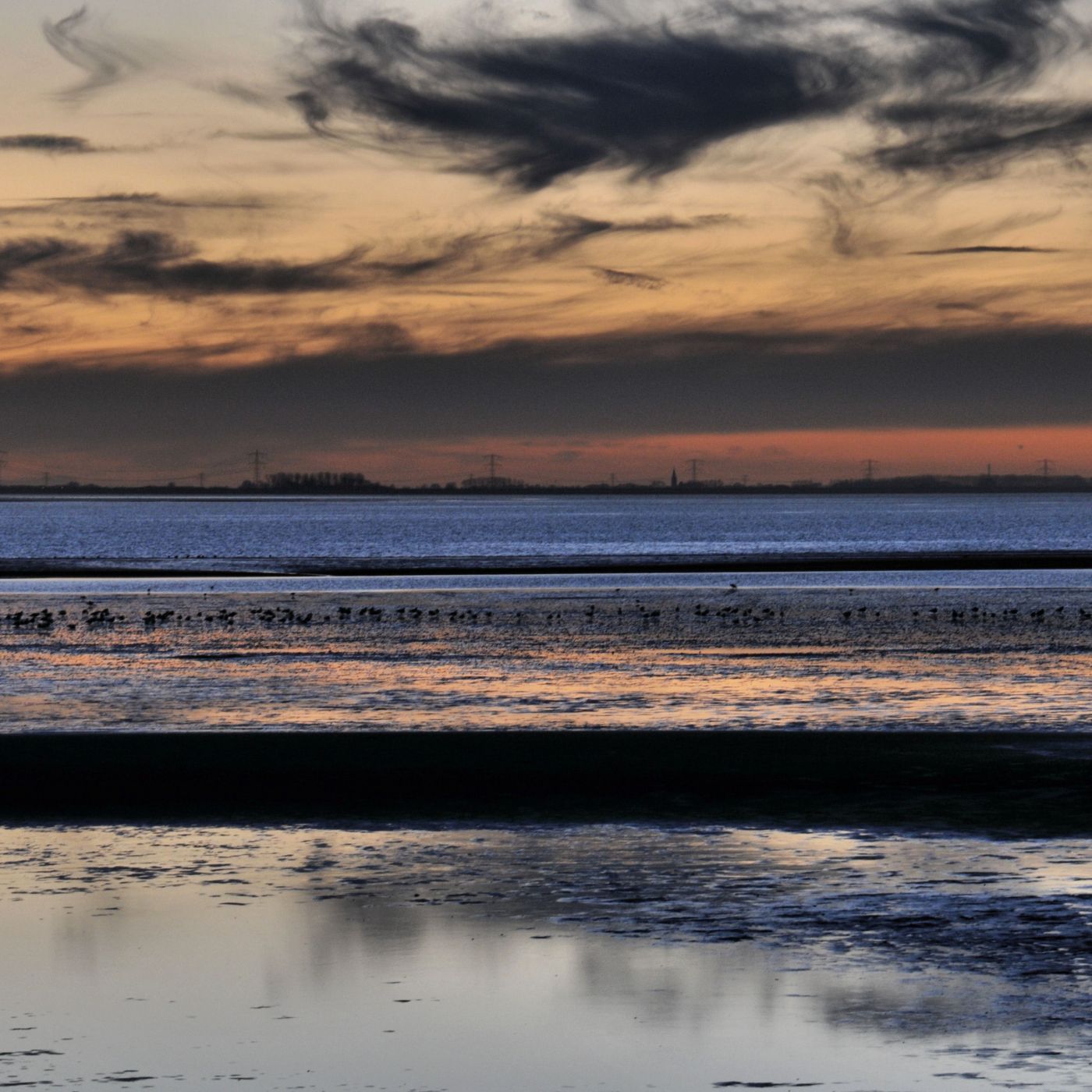 tholen oesterdam, Netherlands