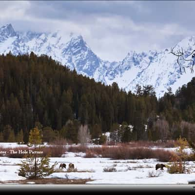 Willow Flats, Grand Teton National Park, USA