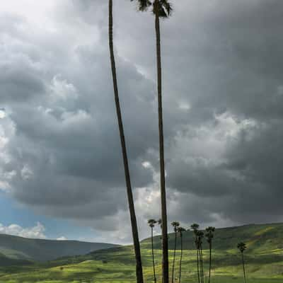 Yardenit, Israel