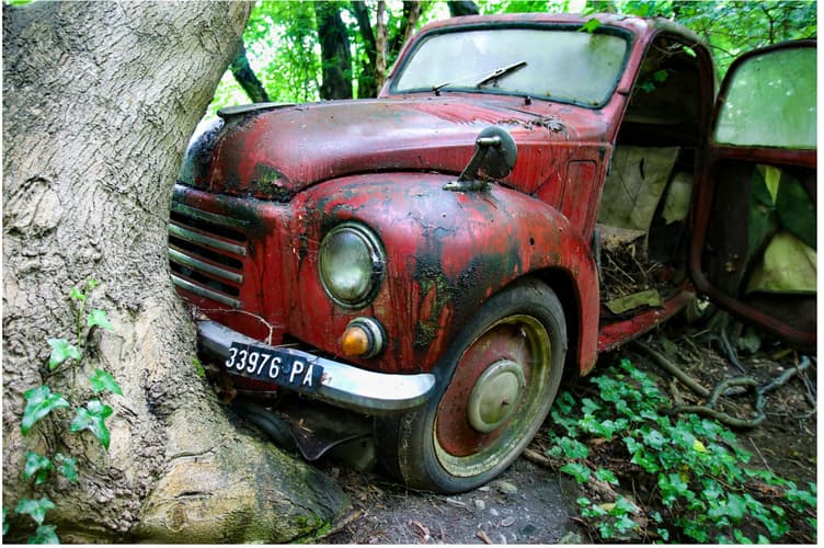 Autoskulpturenpark Neandertal