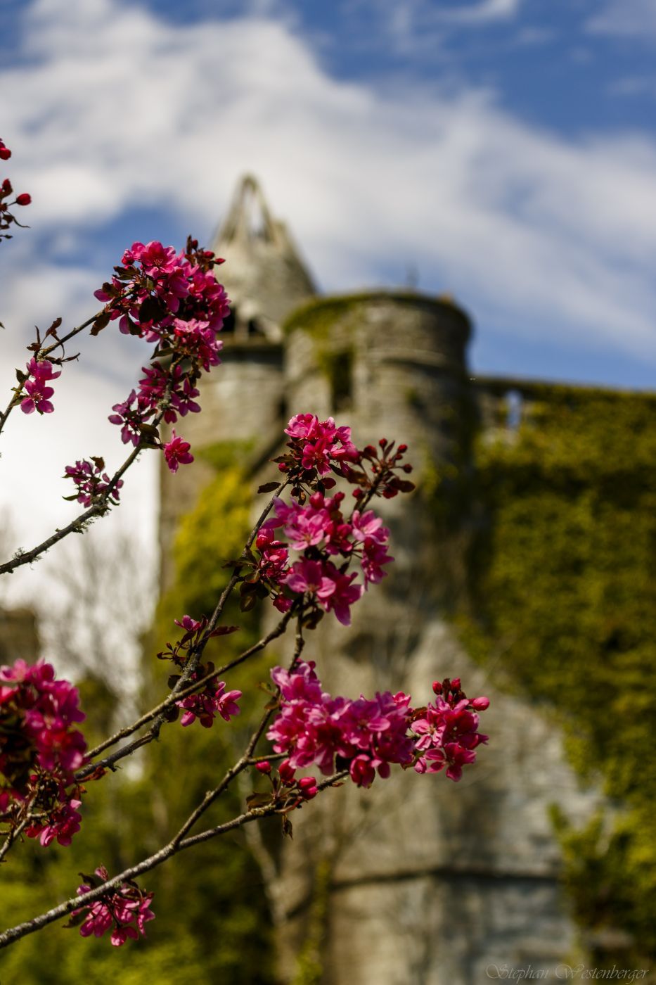 Buchanan Castle, United Kingdom