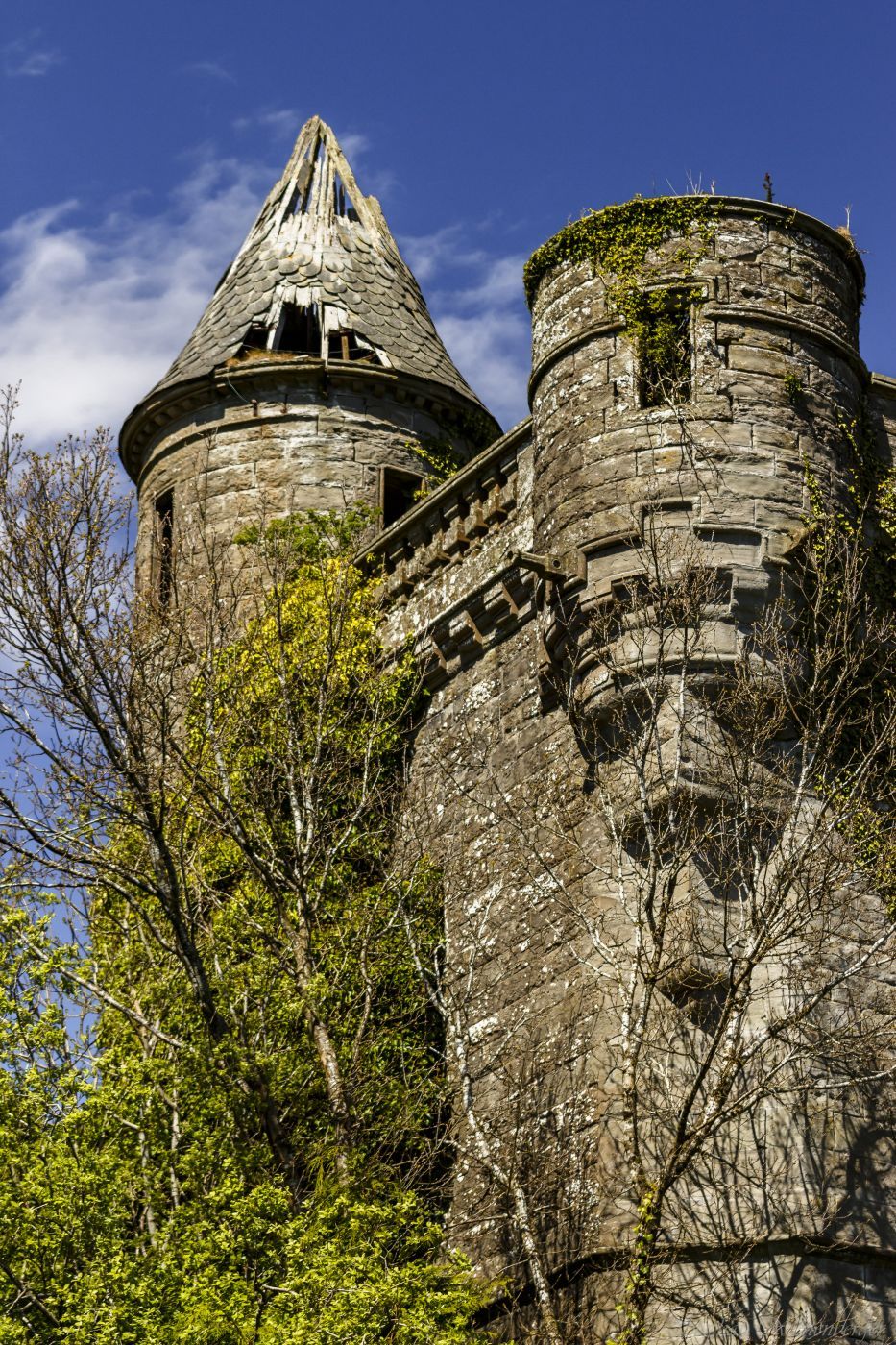 Buchanan Castle, United Kingdom