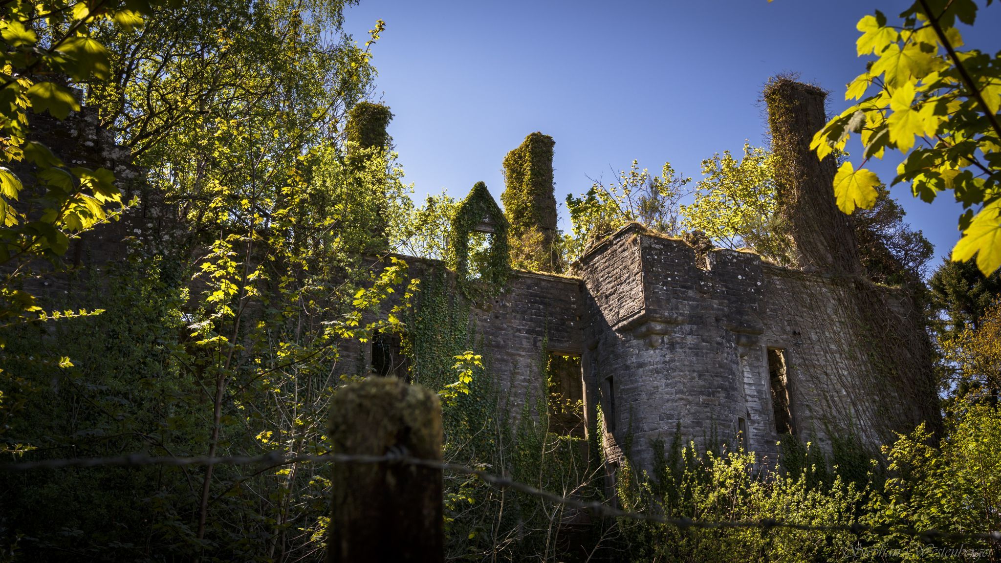 Buchanan Castle, United Kingdom