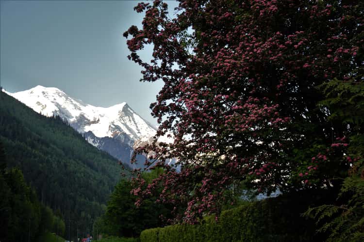 Chamonix Mont-Blanc
