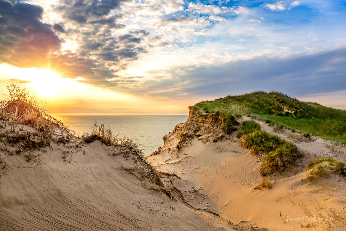 Dunes near Lønstrup, Denmark