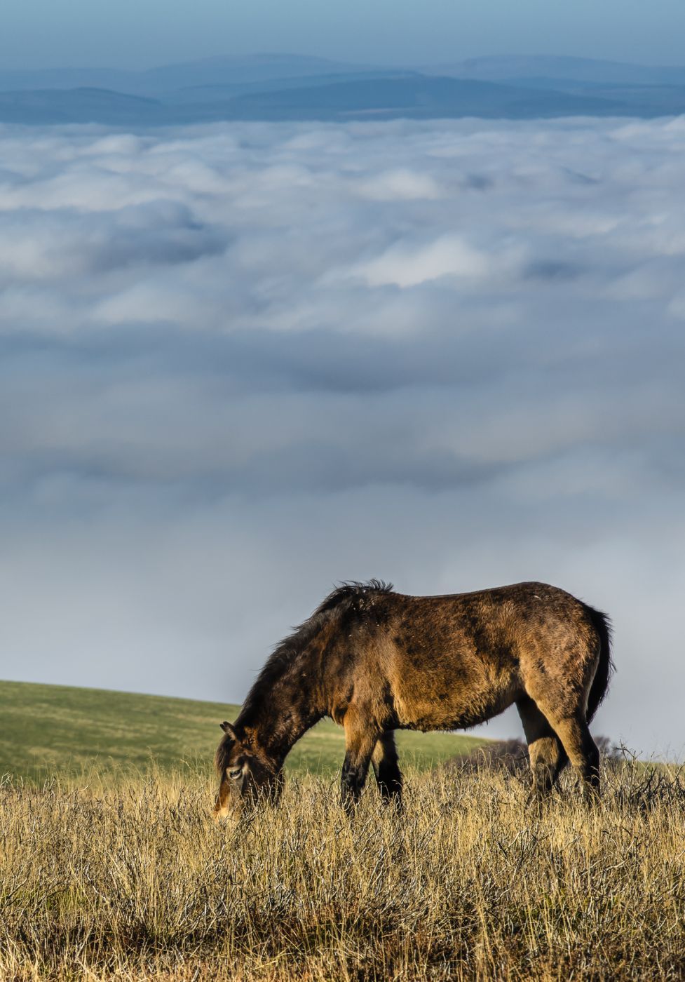 Dunkery Beacon, Exmoor, United Kingdom