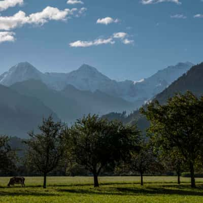 Eiger range, Switzerland