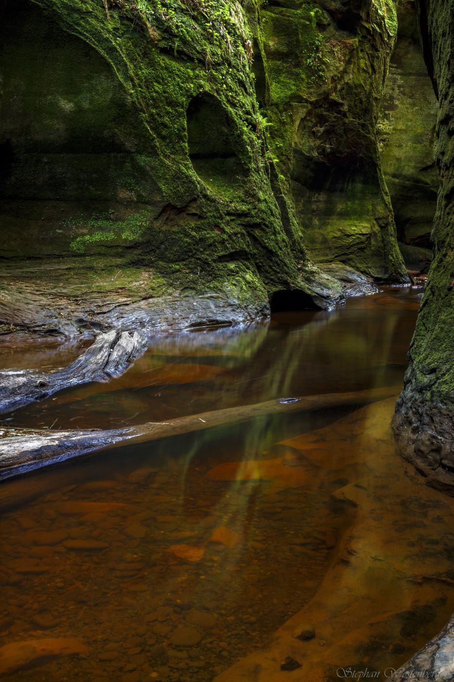 Finnich Glen, United Kingdom