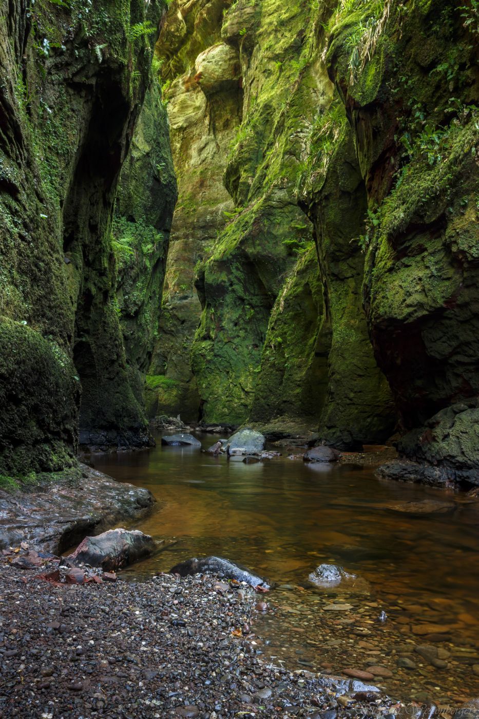 Finnich Glen, United Kingdom