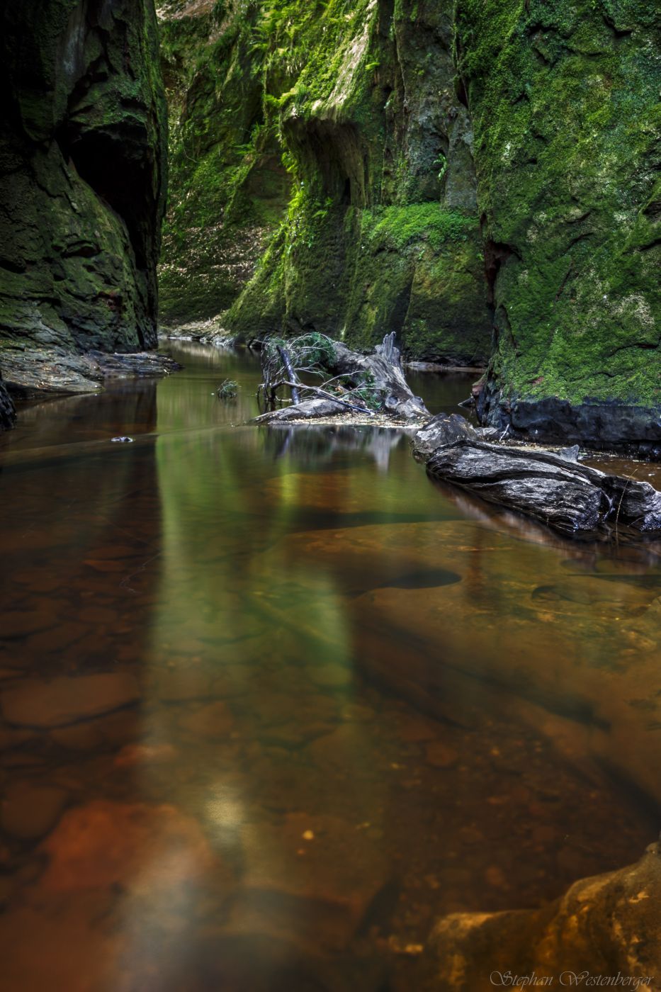Finnich Glen, United Kingdom