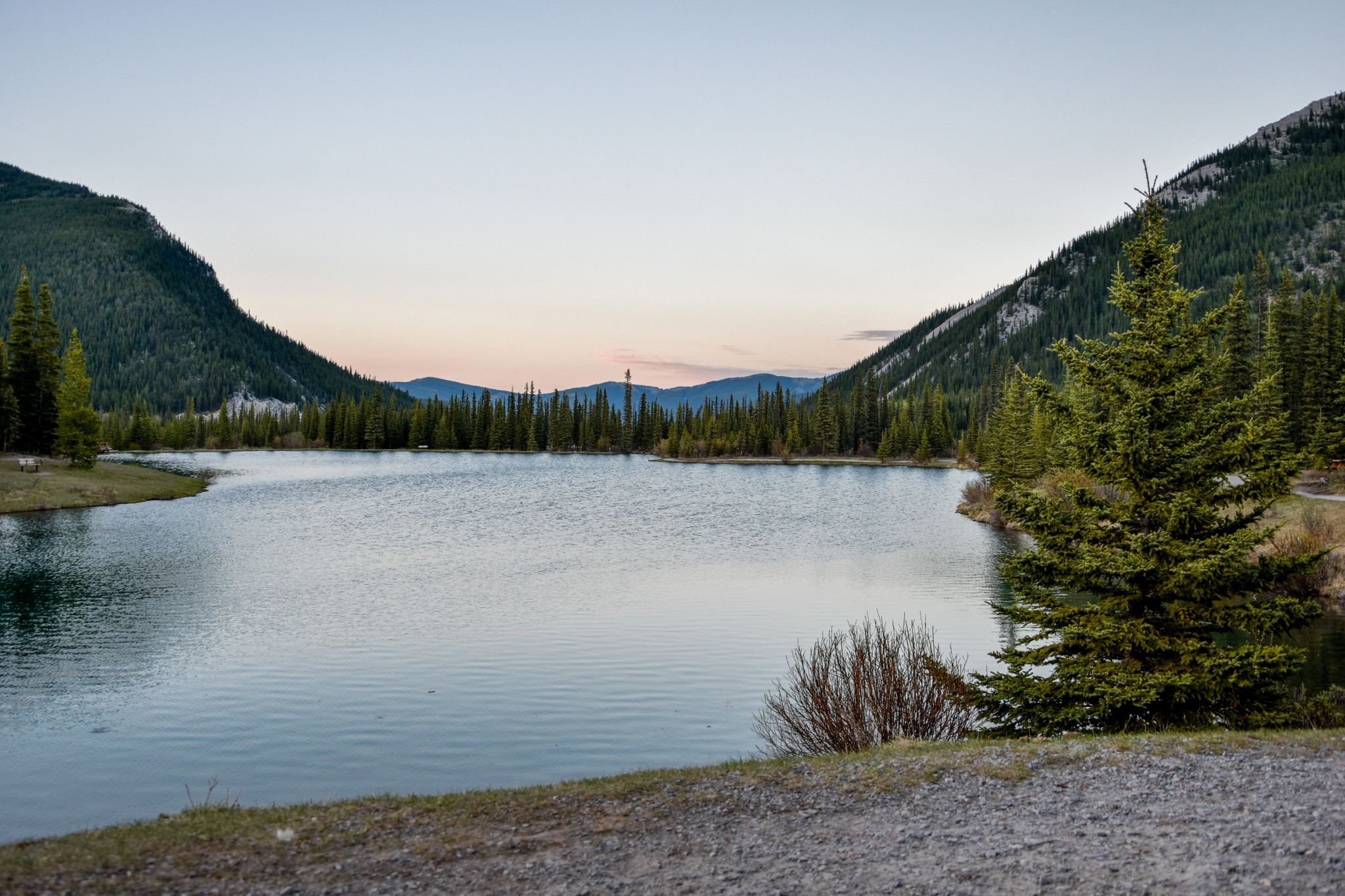 Forgetmenot Pond, Canada