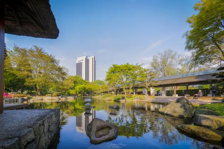 Japanese Garden in 'Planten un Bloomen'