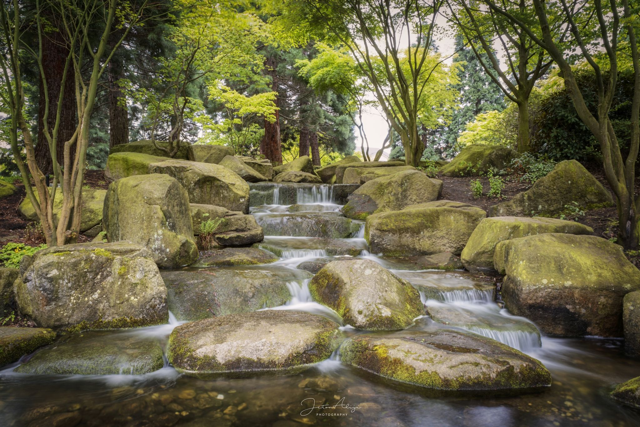 Japanese Garden in 'Planten un Bloomen', Germany