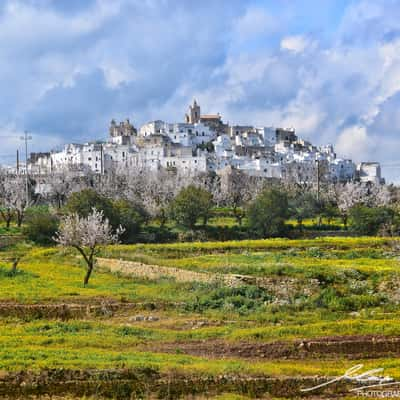 La Citta Bianca, Italy