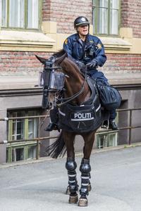 Mounted Police at Akershus Festning, Oslo