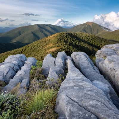 Mt. Arthur Hut viewpoint, New Zealand