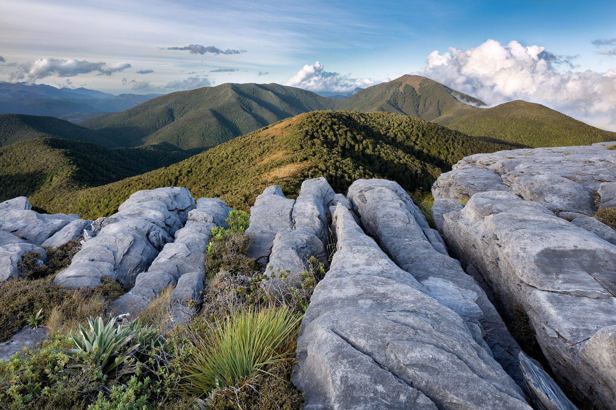 Mt. Arthur Hut viewpoint, New Zealand