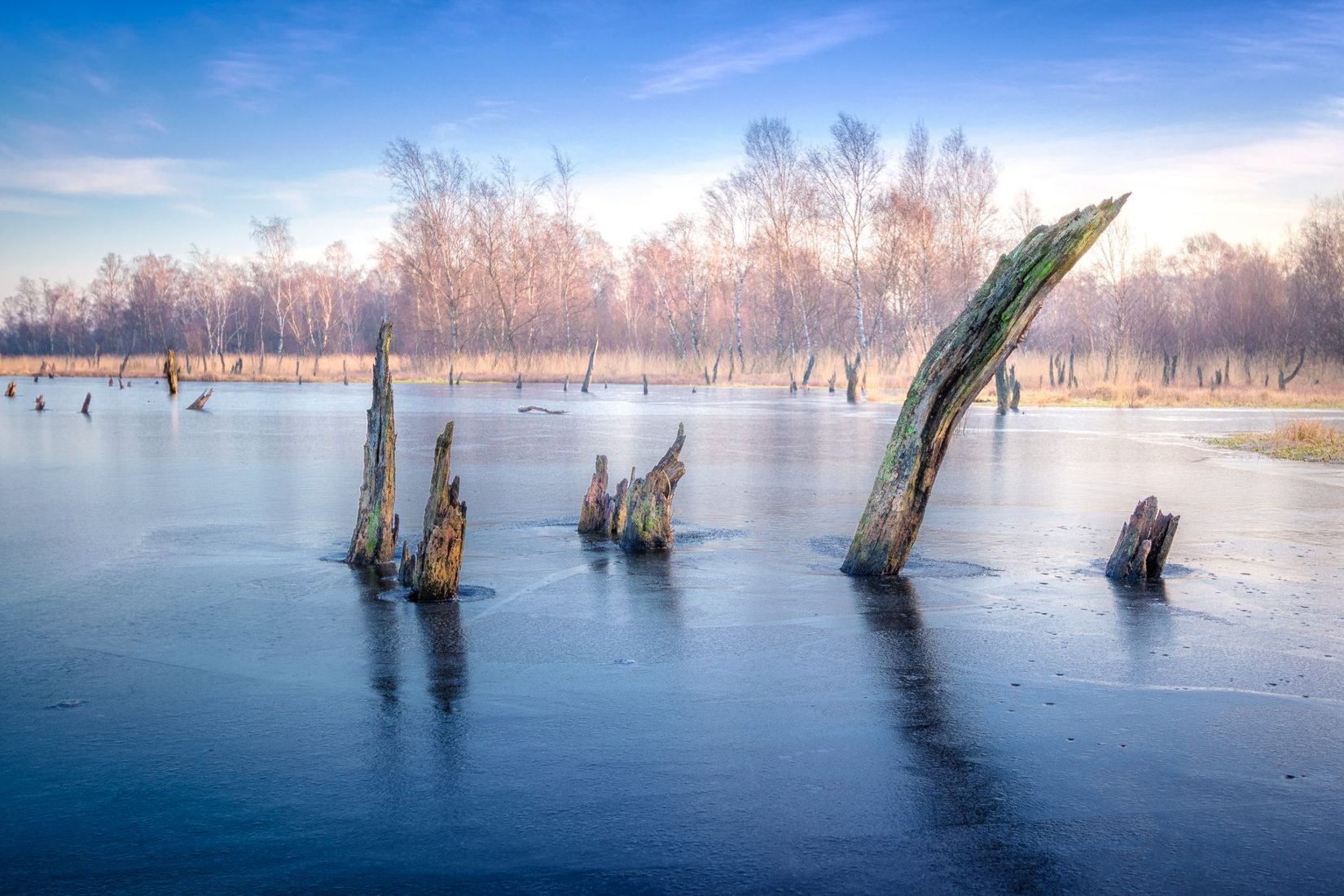 Naturschutzgebiet Wittmoor, Germany