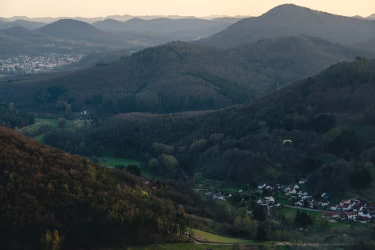 Neuscharfeneck