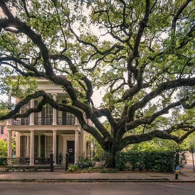 New Orleans Garden district, USA