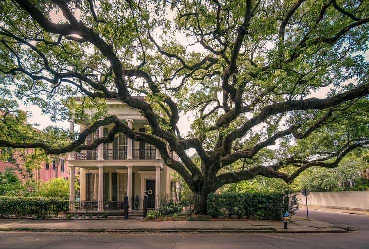 New Orleans Garden district
