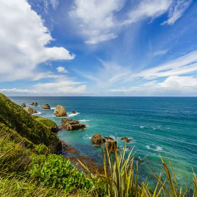 Nugget Point, New Zealand