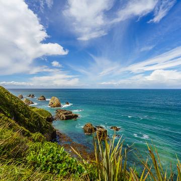 Nugget Point, New Zealand