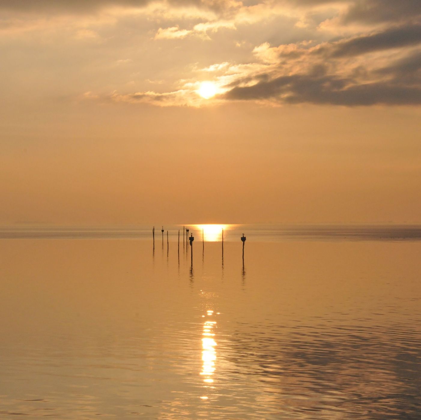 oesterdam, Netherlands