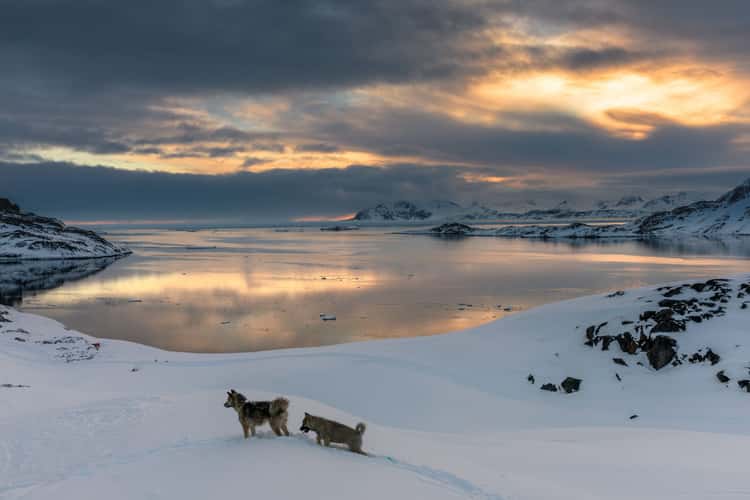 Pack ice in Kulusuk Bay, Greenland