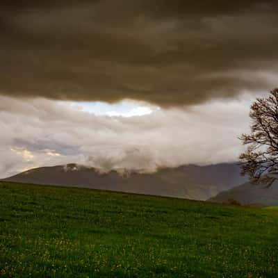 Planes of Hofsgrund, Schauinsland, Germany