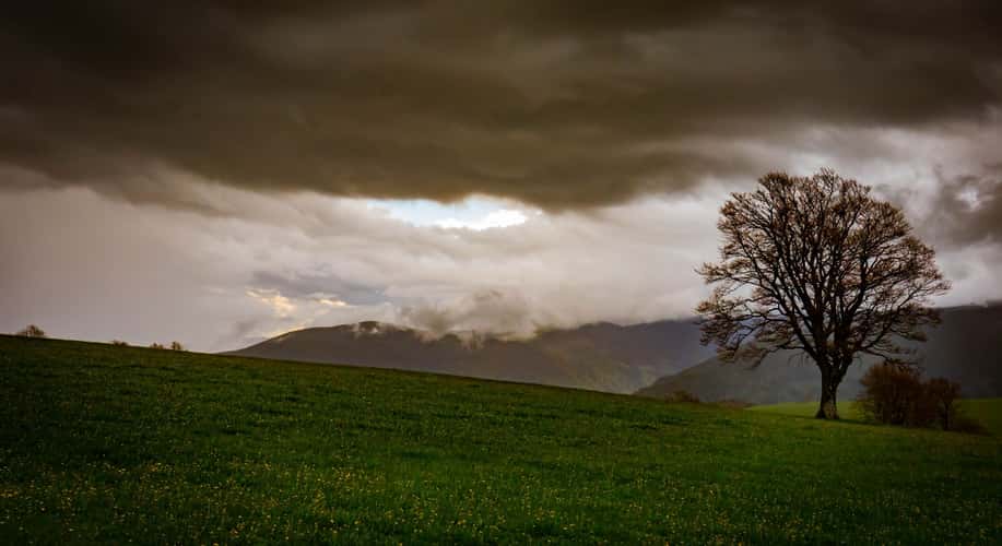 Planes of Hofsgrund, Schauinsland