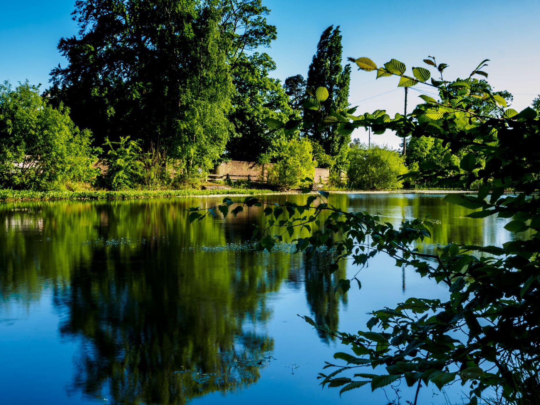 Stanmore Ponds, United Kingdom