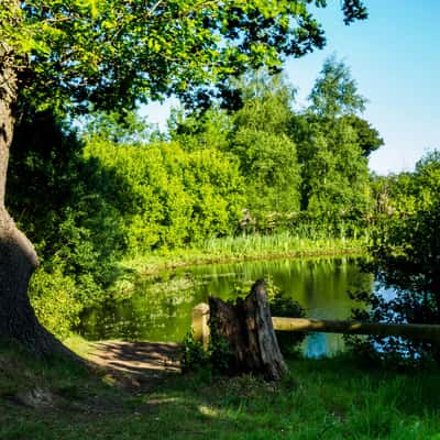 Stanmore Ponds, United Kingdom