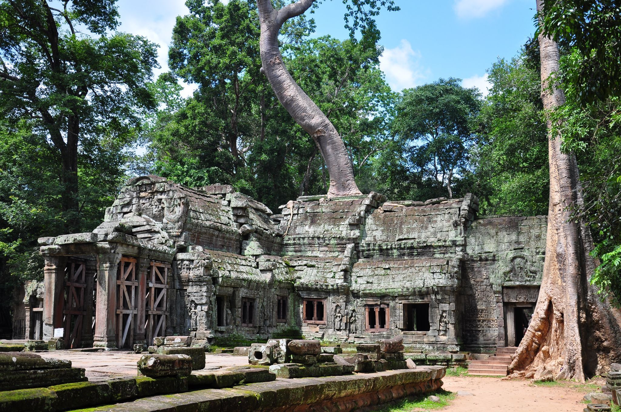 Ta Prohm, Cambodia