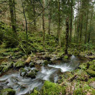 Teichschlucht, Germany