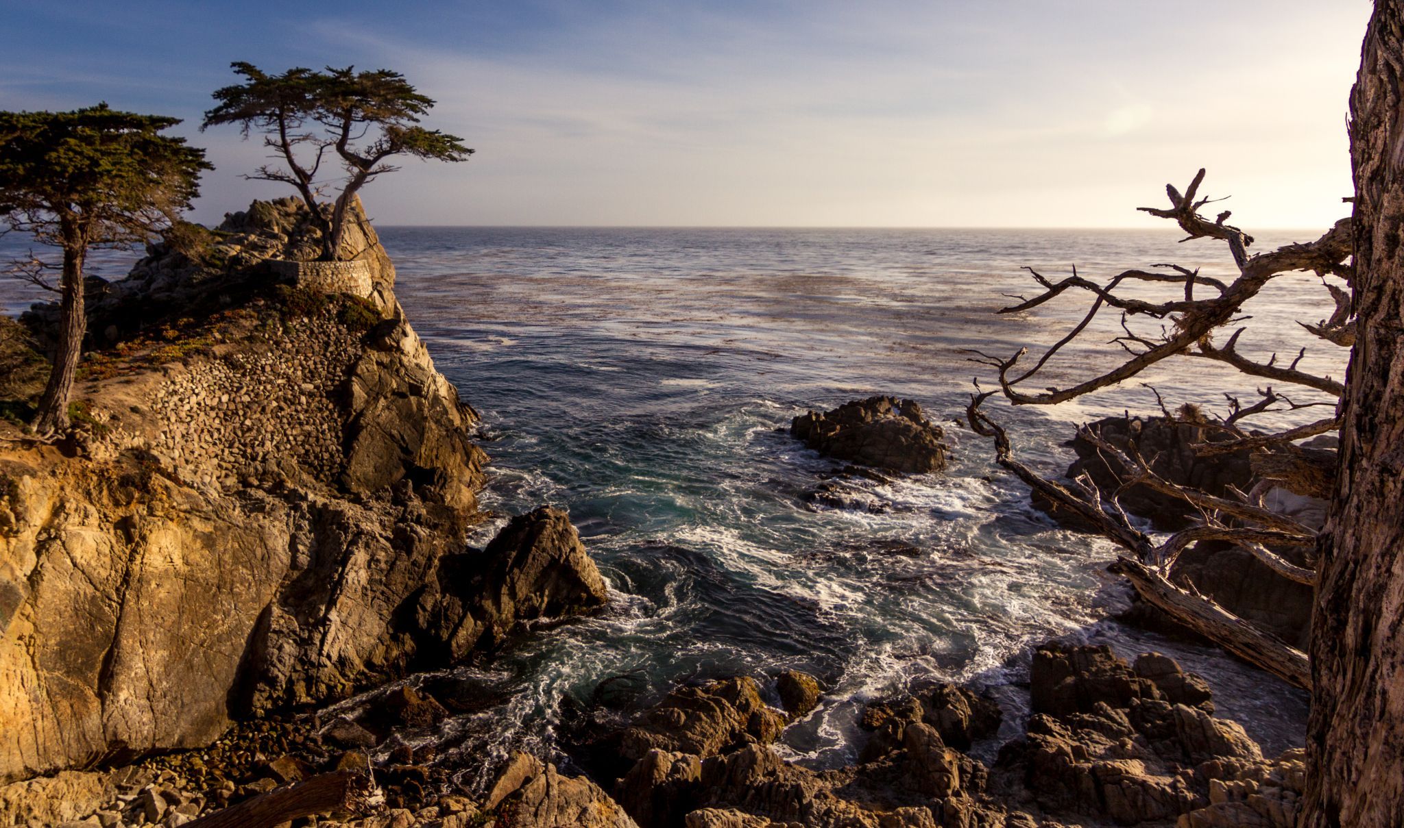 The Lone Cypress, Pebble Beach, USA