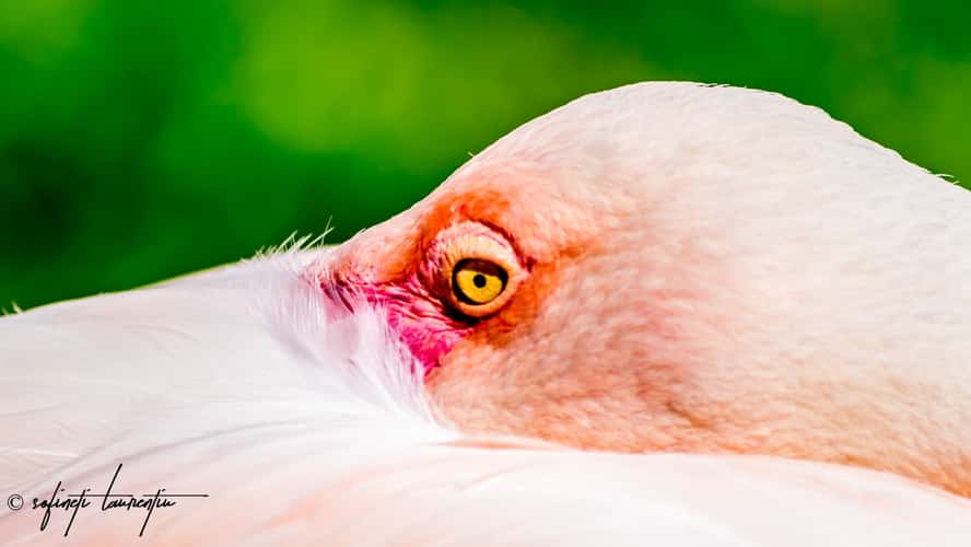 Tierpark Bochum