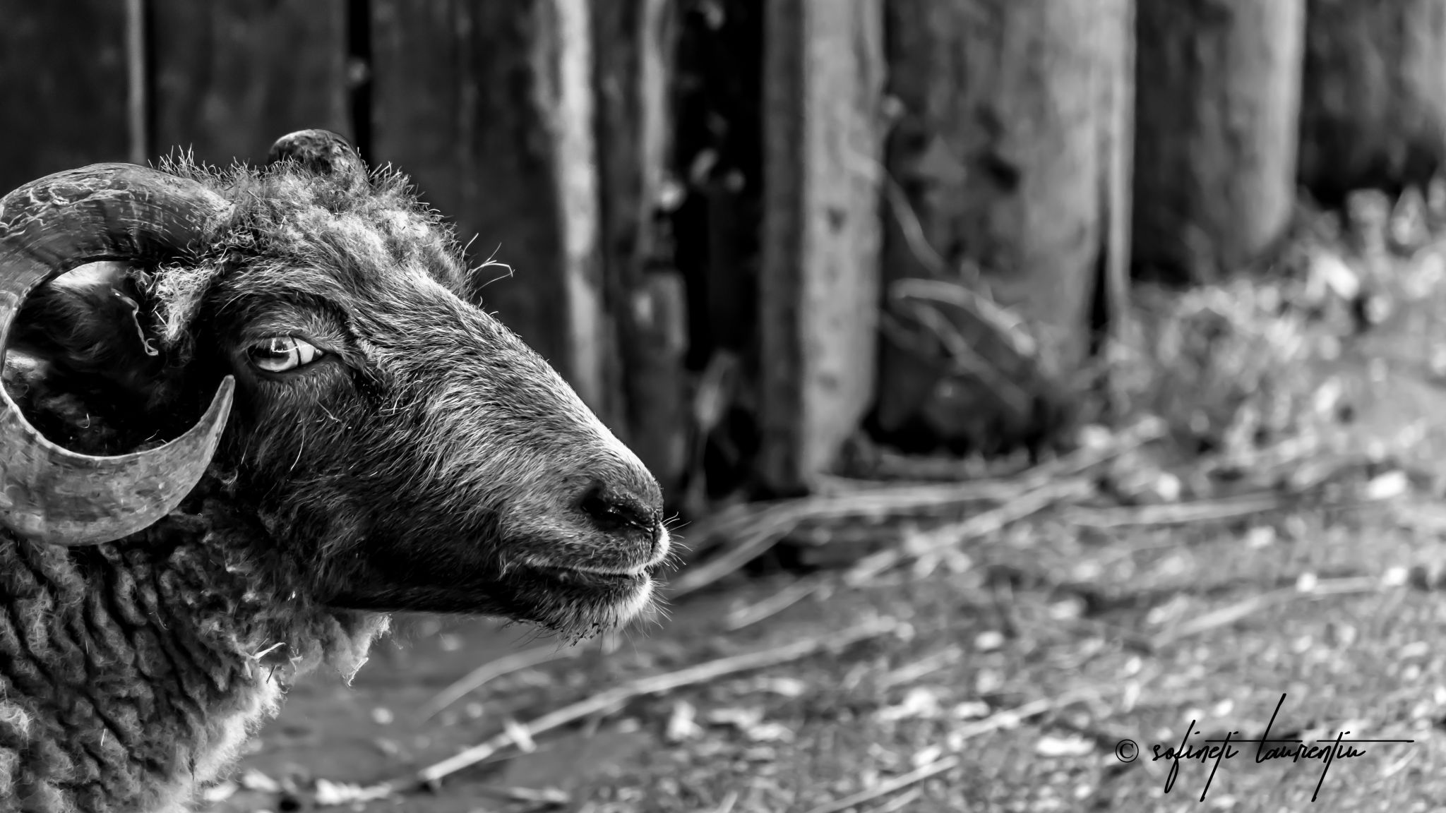 Tierpark Bochum, Germany
