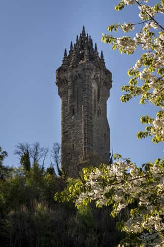 Wallace Monument