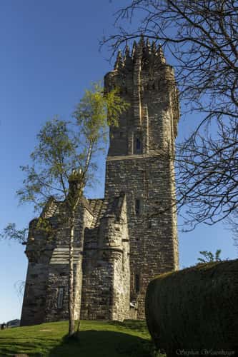 Wallace Monument
