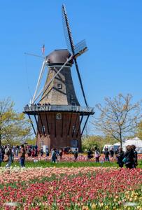Windmill Island Gardens, Holland, Michigan