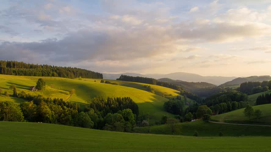 Black Forest Romantic