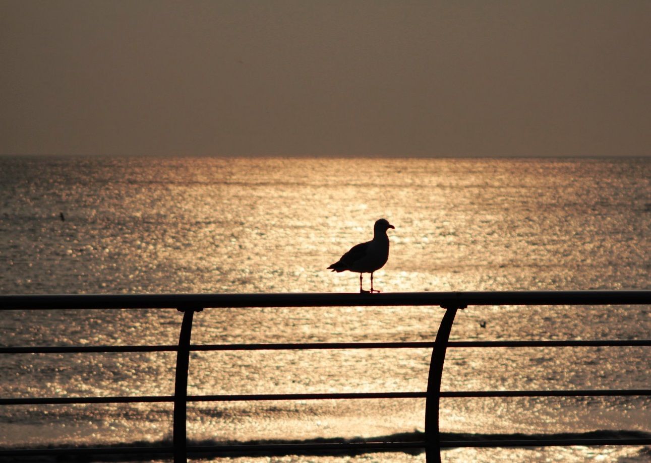 Blackpool Pier, UK, United Kingdom