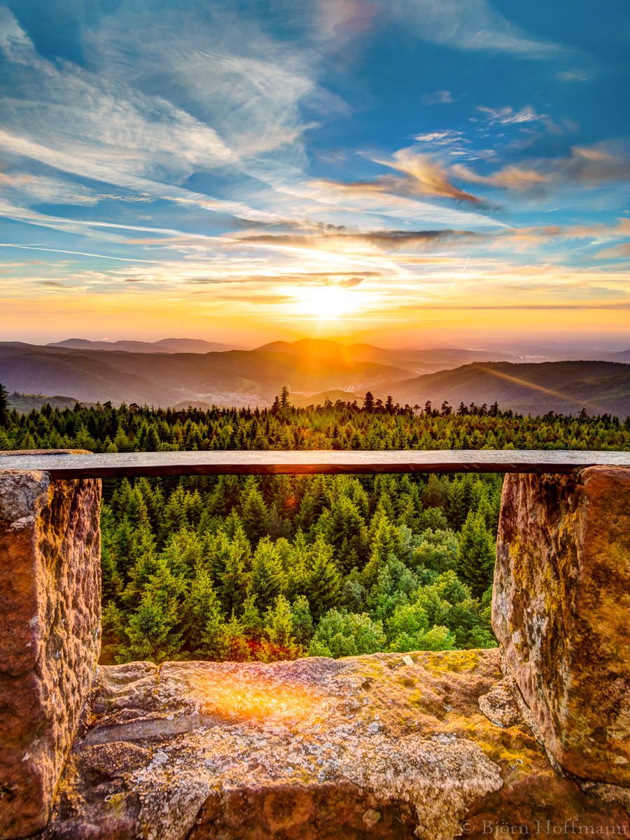 View from Hohloh Tower, Kaltenbronn, Germany