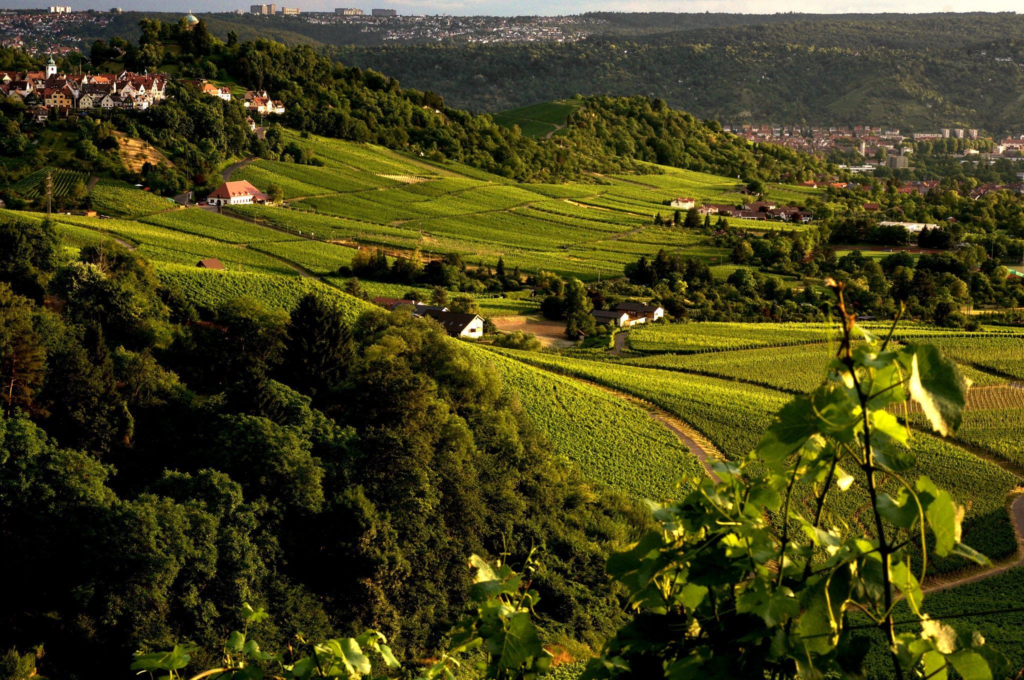 Kappelberg Stuttgart, Germany